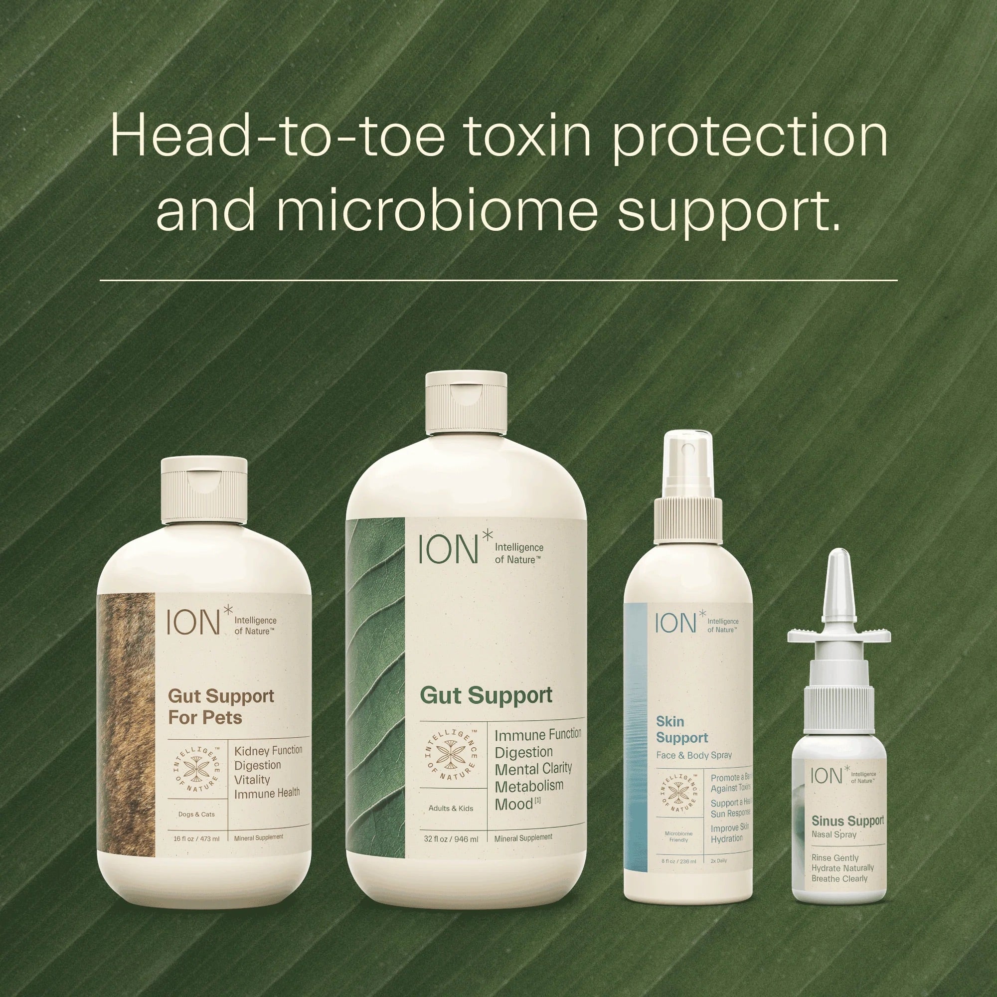 ION* Product Suite