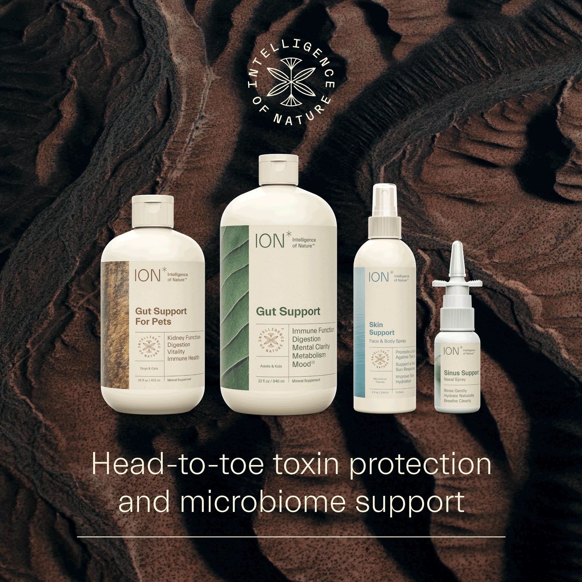 ION* Product Suite