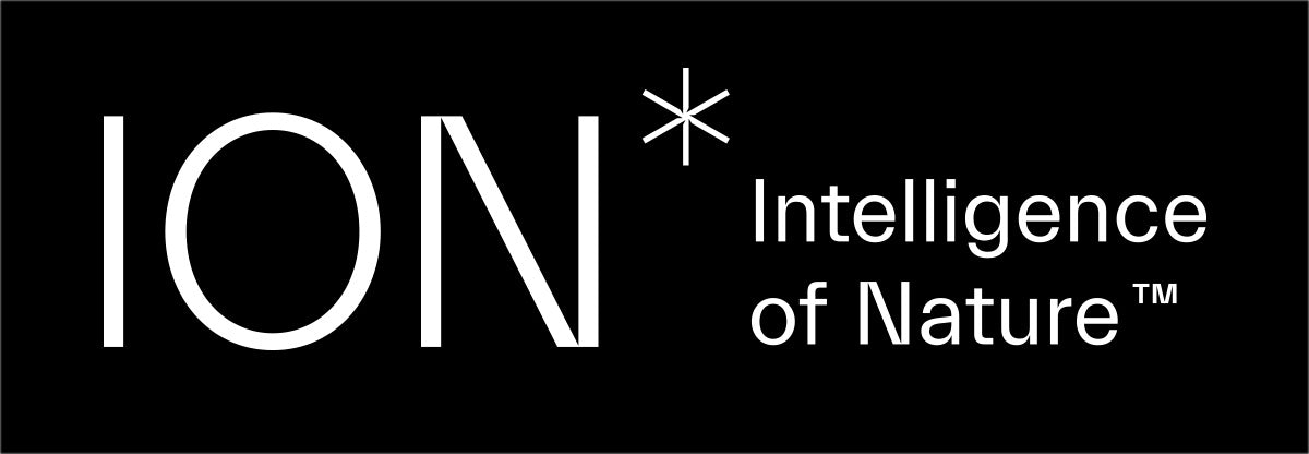 ION* Primary Logo Flat White (JPG)