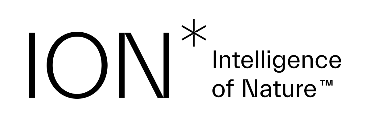 ION* Primary Logo Transparent Black (PNG)