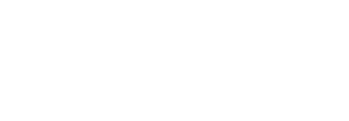 ION* Primary Logo Transparent White (PNG)