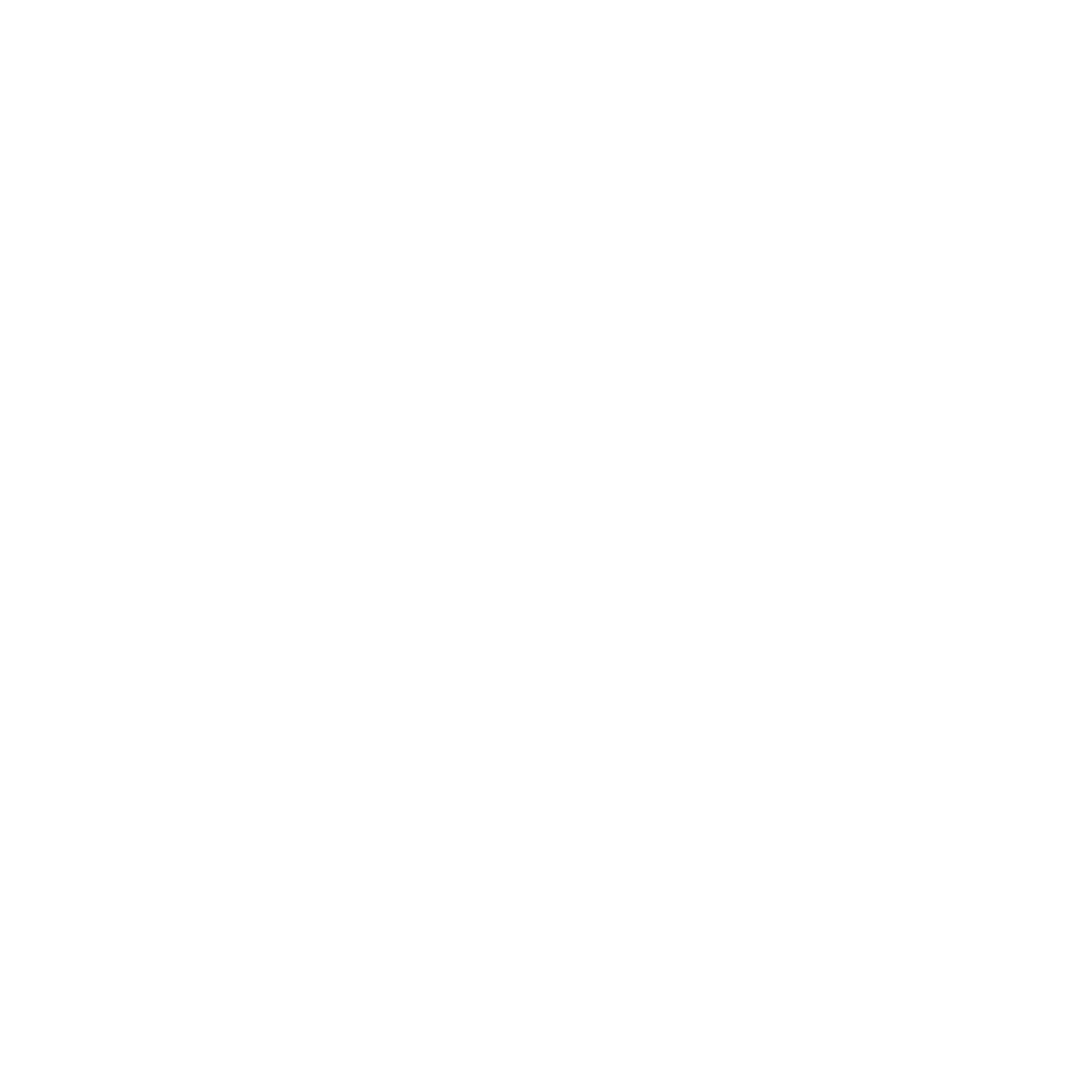 ION* Seal Logo Transparent White (PNG)