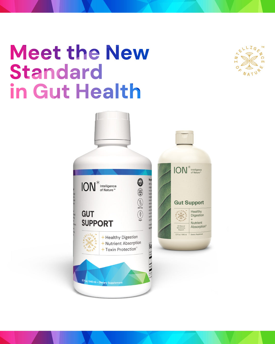 ION* Gut Support