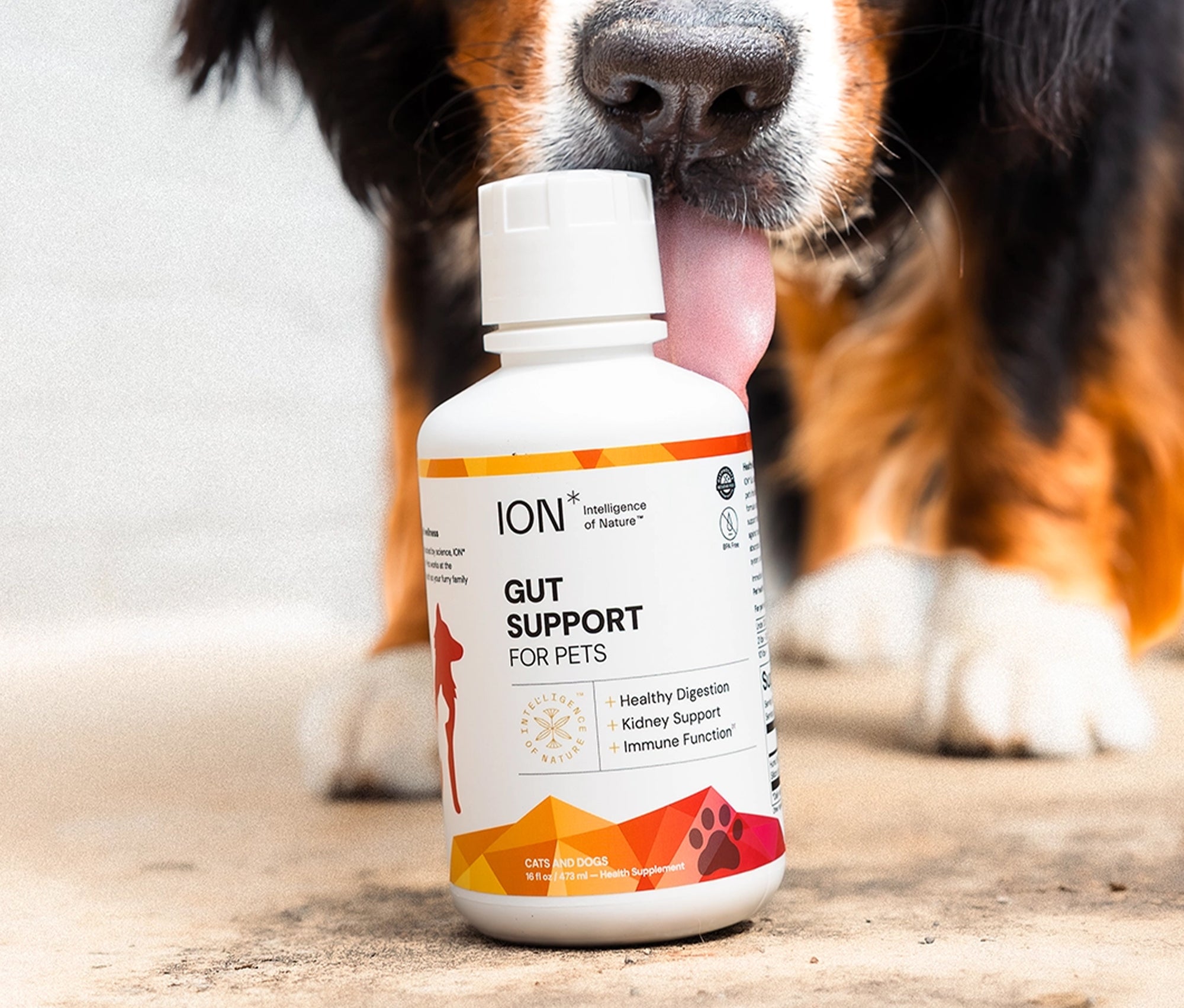 ION* Gut Support For Pets 16oz - Dog in Background