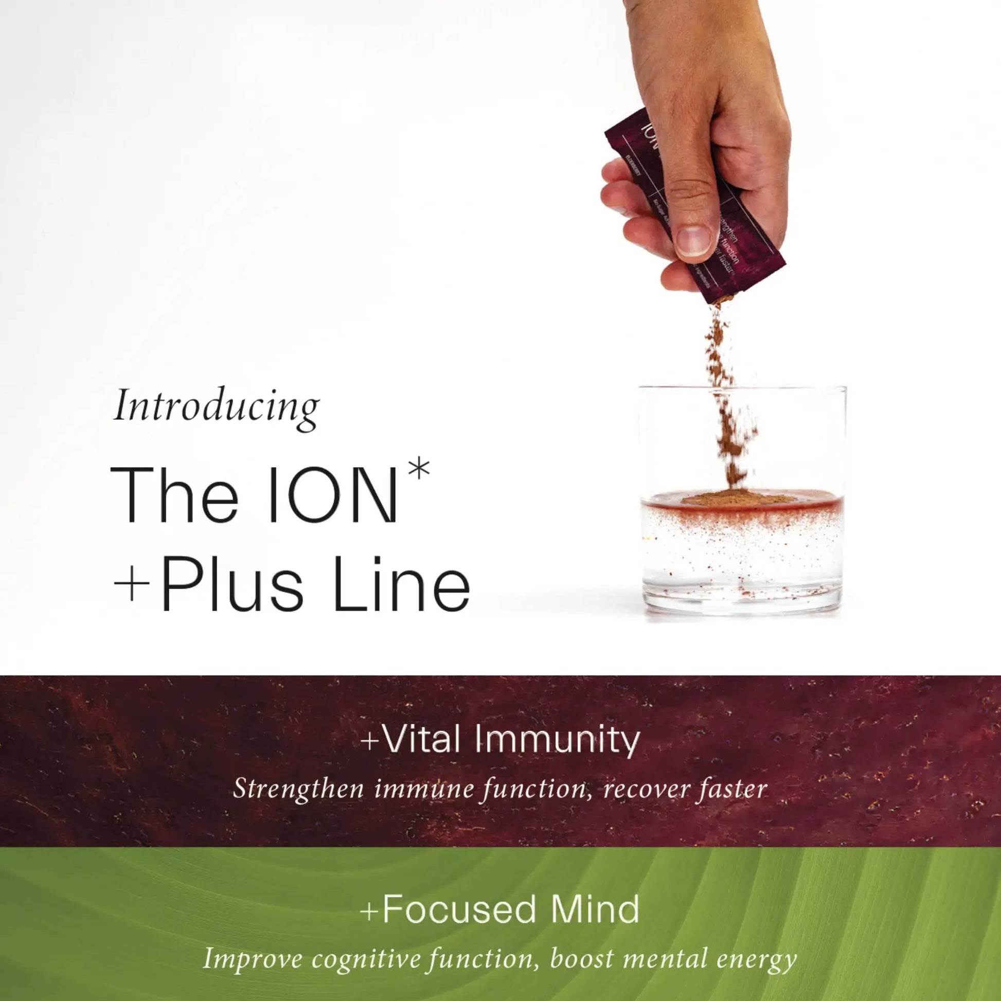 ION Plus Cliffnote card front