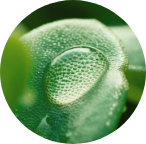 Review Marker Image