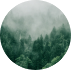 Review Marker Image