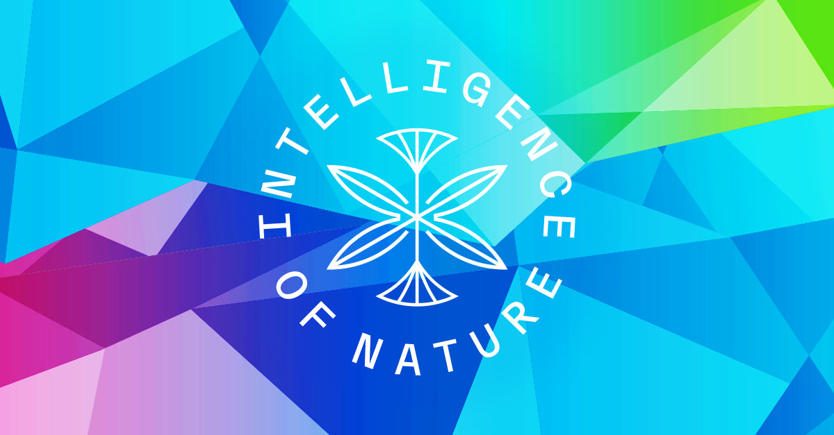 Restore Gut Health & Microbiome - Intelligence of Nature
– ION Wholesale