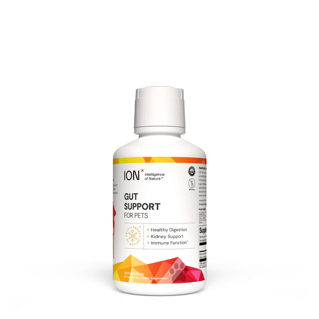 ION Gut Support For Pets Health Supplement 16oz