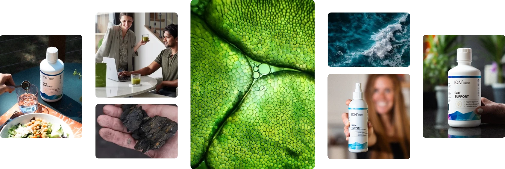 About Us Collage