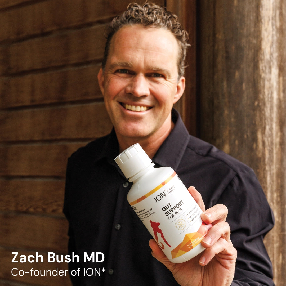 ION* Gut Support For Pets