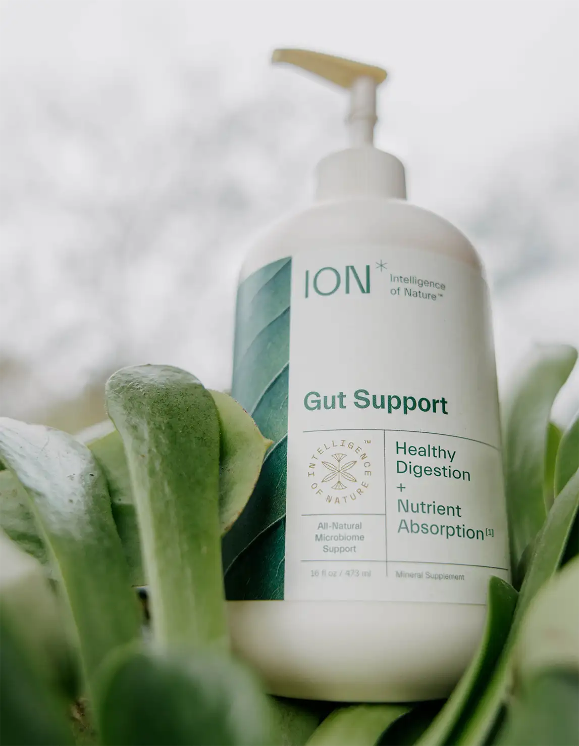 ION Gut Health Supplement behind leaves