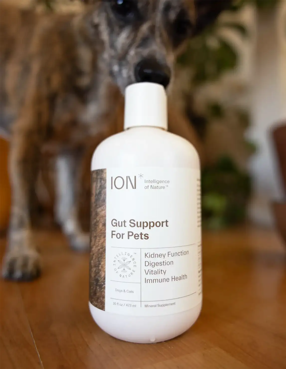 ION Pet Gut Health Supplement Drink for Pets