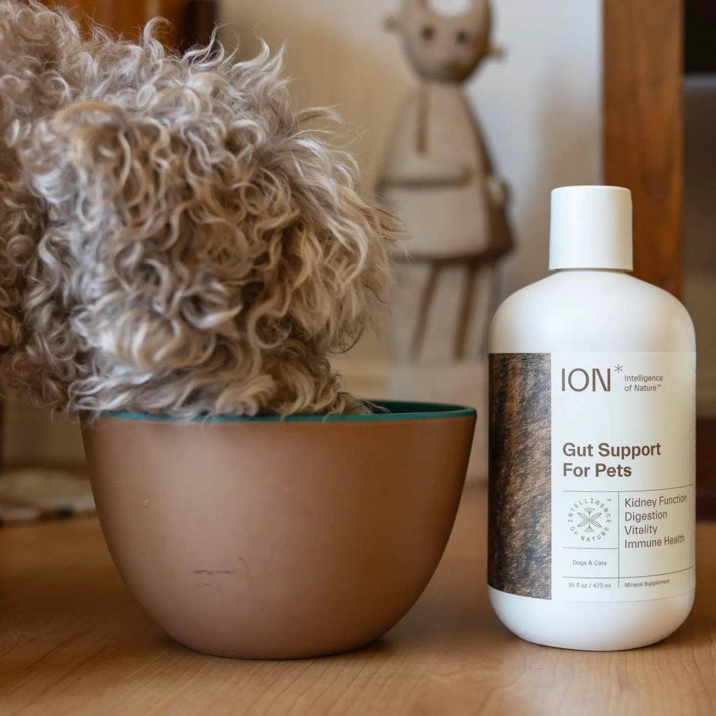 ION Gut Support For Pets Health Supplement and dog