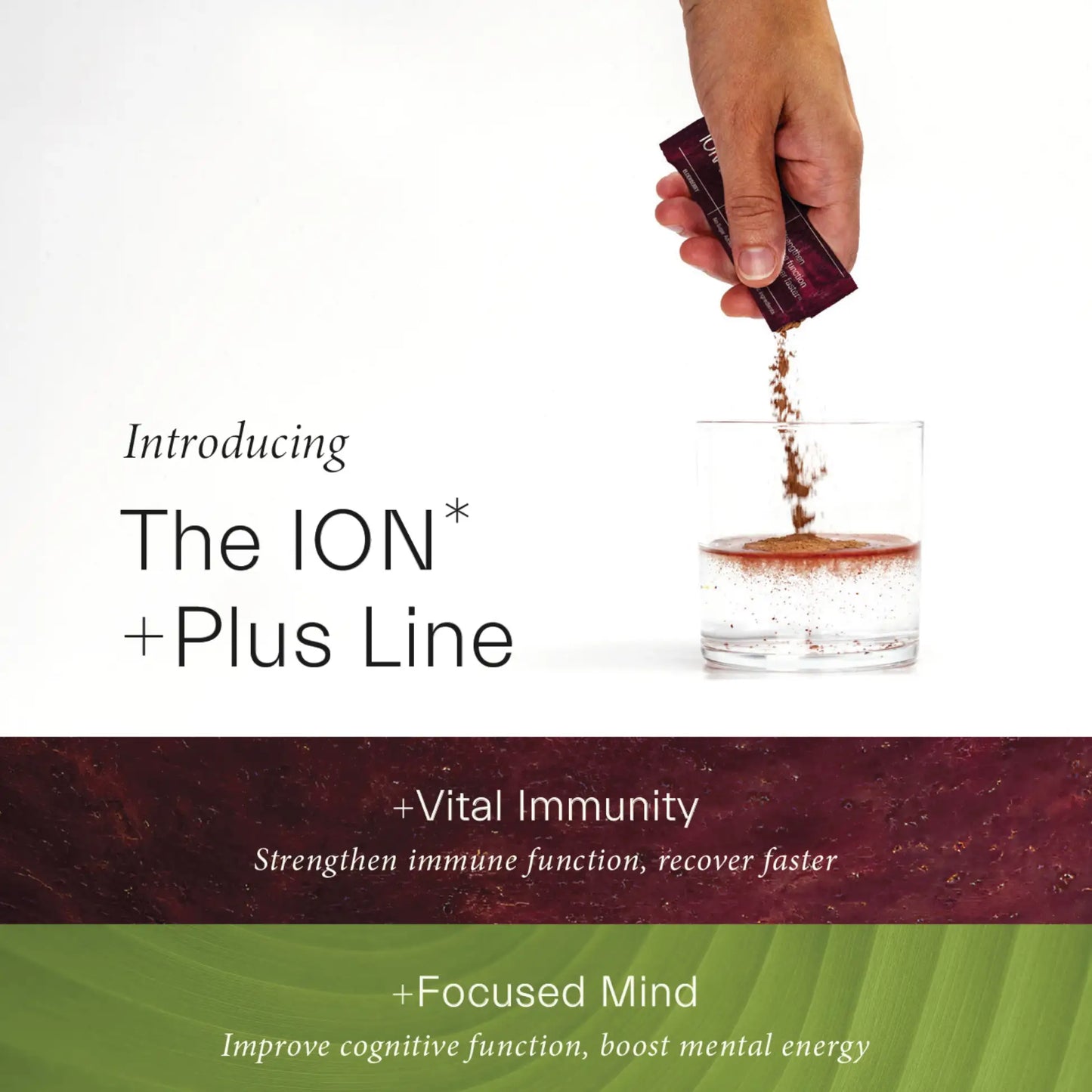 ION* Plus Line Cliff Note Cards