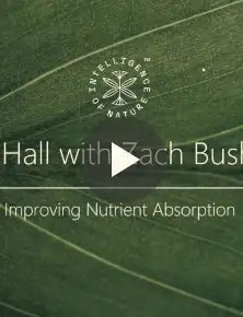 Nutrient Absorption with Zach Bush, MD video