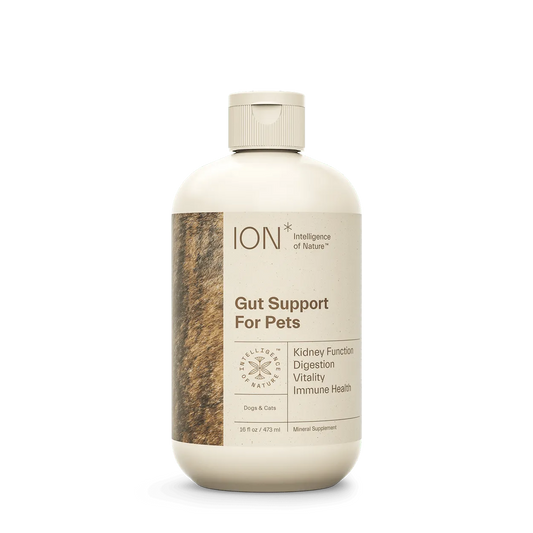 ION Gut Support For Pets Health Supplement