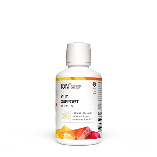 ION Gut Support For Pets Health Supplement 16oz